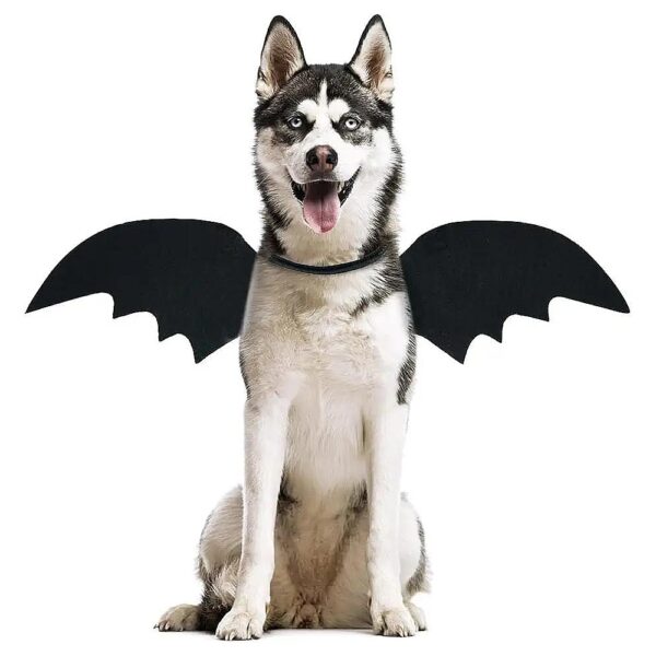 Halloween Bat Wings Costumes for Medium Dogs, Soft Felt and Adjustable Velcro for Thrill