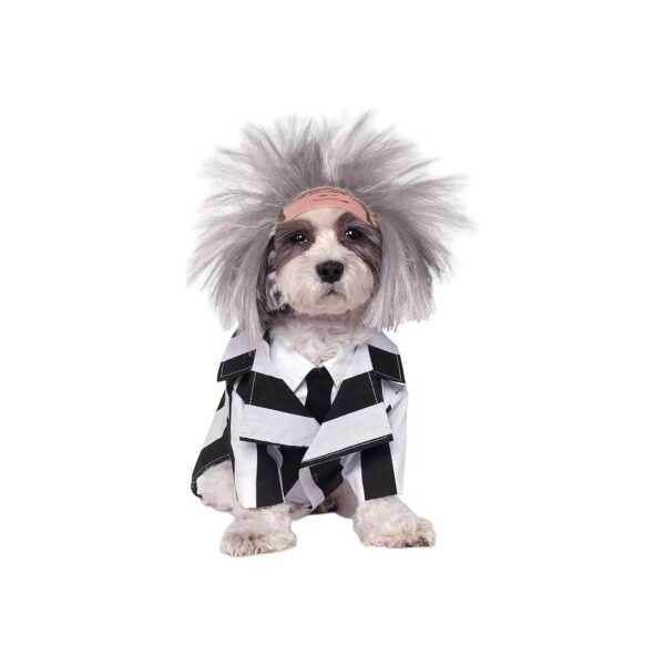 Halloween Beetlejuice Pet Costume with Wig and Velcro Closure for Medium Dogs