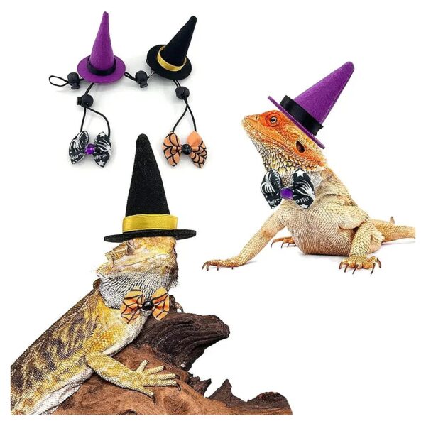 Halloween Costume for Bearded Dragons Hamsters and Lizards with Witch Hats and Bowties