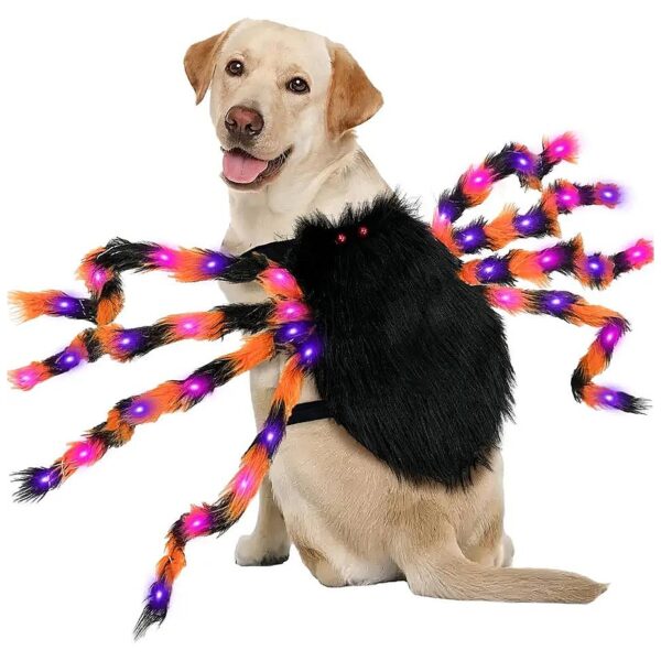 Halloween Party Costume for Dogs - Giant Black Spider with 50 LED Purple Lights