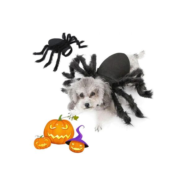 Halloween Spider Costume for Small to Medium Dogs and Cats with Adjustable Velcro S