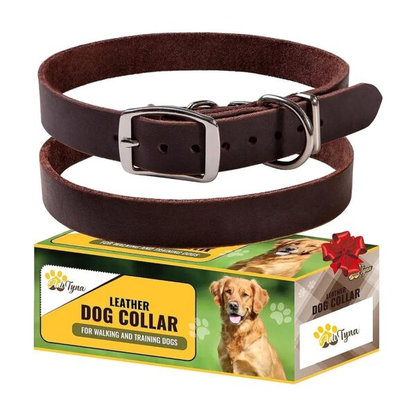 Handmade Leather Collar for Medium Dogs 15-20 Inches Comfortable Strong Soft and Stylish