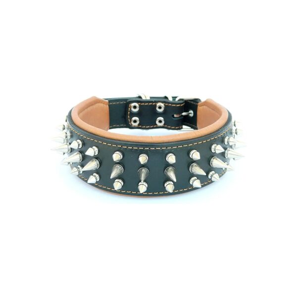 Handmade in Europe Leather Dog Collar with Screw Spikes and Buckle Closure