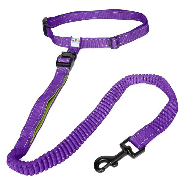 Hands Free Dog Running Leash for Jogging and Walking with Purple Nylon Material