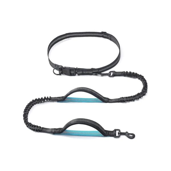 Hands Free Dual Handle Nylon Leash for Small Medium Large Dogs 25-150 Lbs