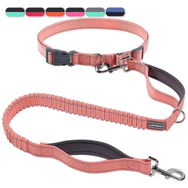 Hands Free Running Leash with Adjustable Waist Belt for Medium Large Dogs