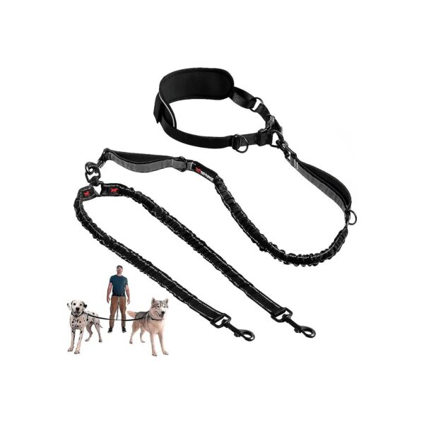 Hands-Free Bungee Leash for Two Large Dogs Up to 250 Pounds