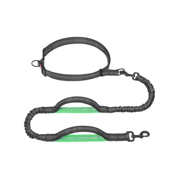 Hands-Free Dog Leash for Running, Walking, and Hiking with Reflective Stitching