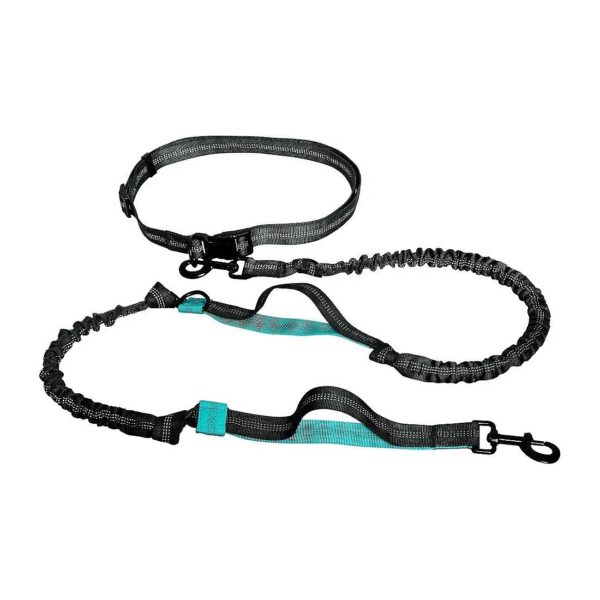 Hands-Free Dog Leash with Dual Handles and Adjustable Waist Belt for Medium to Large Dogs