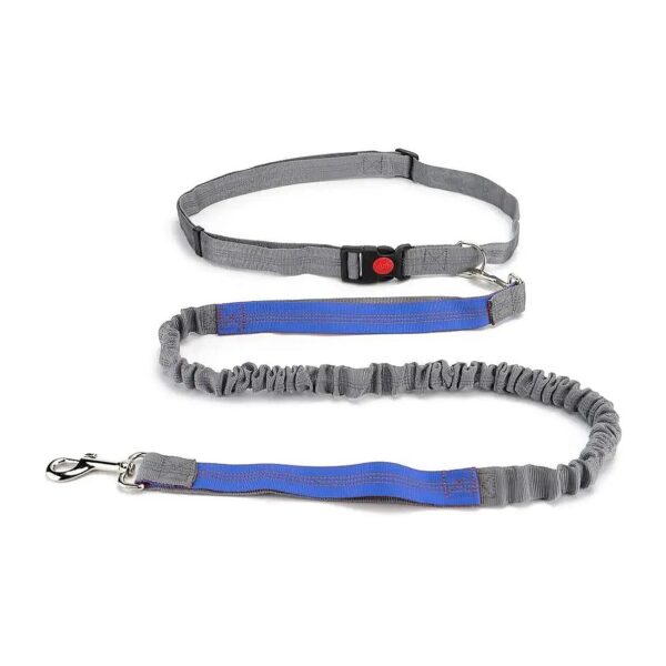 Hands-Free Leash for Dogs, Perfect for Jogging, Running, or Just a Casual Walk