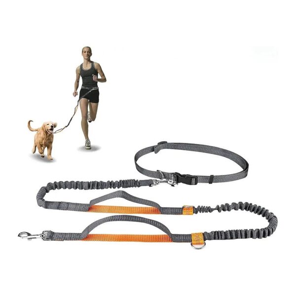 Hands-Free Running Leash with Dual Bungees for Small and Medium Dogs up to 110 Pounds