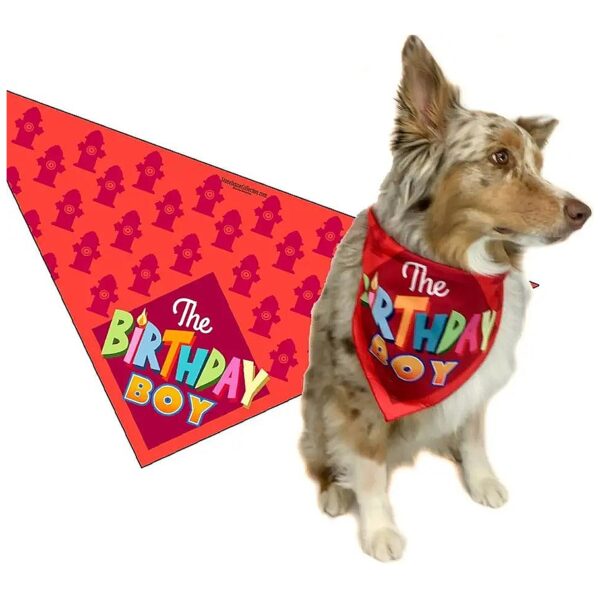 Happy Birthday Dog Scarf Gift Idea for Large Breed Dogs