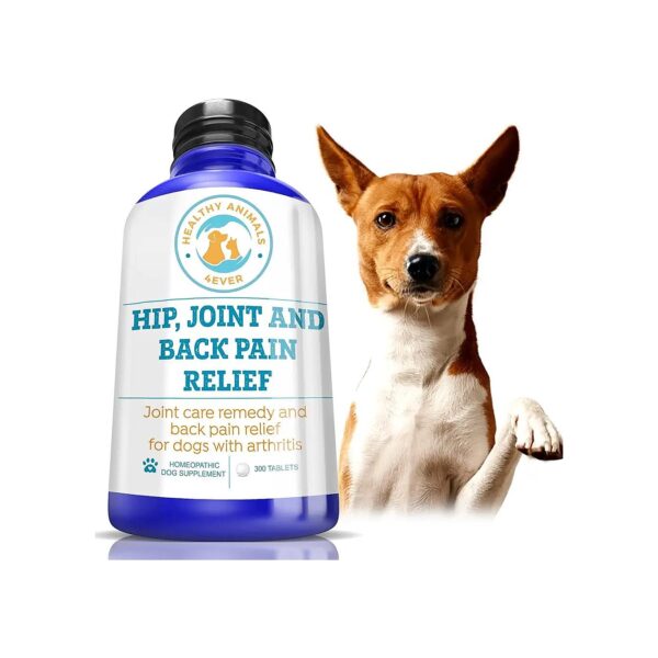 Healthy Animals 4 Ever Arthritis Remedy for Dogs with Ease of Administration