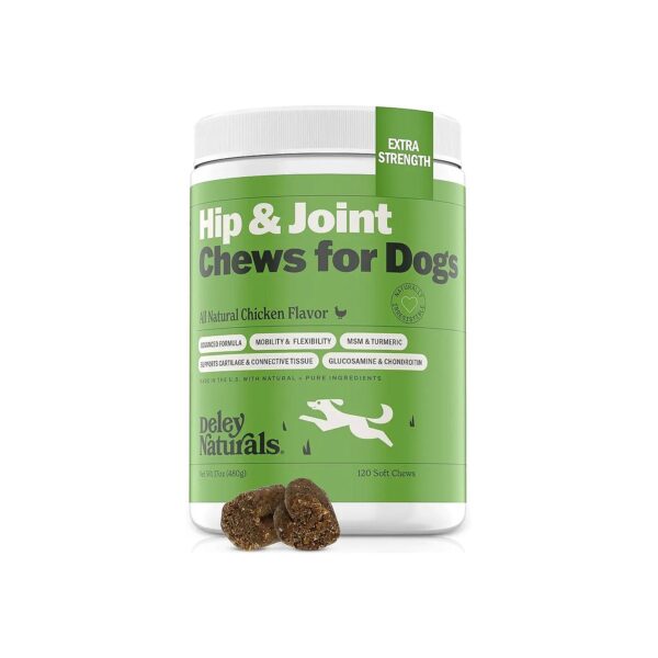 Healthy Dog Vitamins and Minerals for Joint Support and Pain Relief