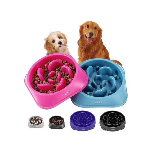 Healthy Eating for Dogs with Large Breed Slow Feeder Bowls and Unique Maze Design