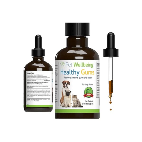 Healthy Gums and Teeth Liquid Supplement for Dogs with Gingivitis Relief