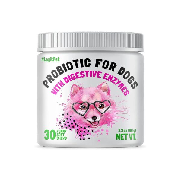 Healthy Gut Probiotics for Dogs with Digestive Enzymes and Natural Immune Support