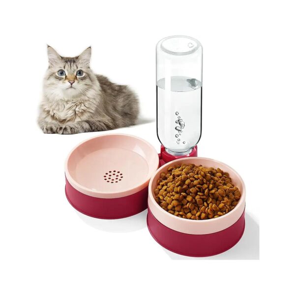 Healthy Meals for Cats and Small Dogs with Whisker Friendly Cat Food and Water Bowl Set