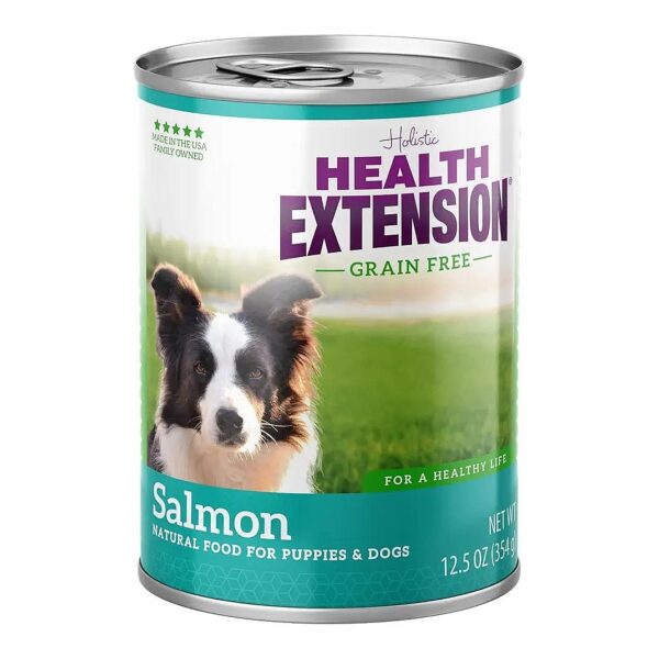 Healthy Natural Salmon Recipe Wet Dog Food for All Life Stages