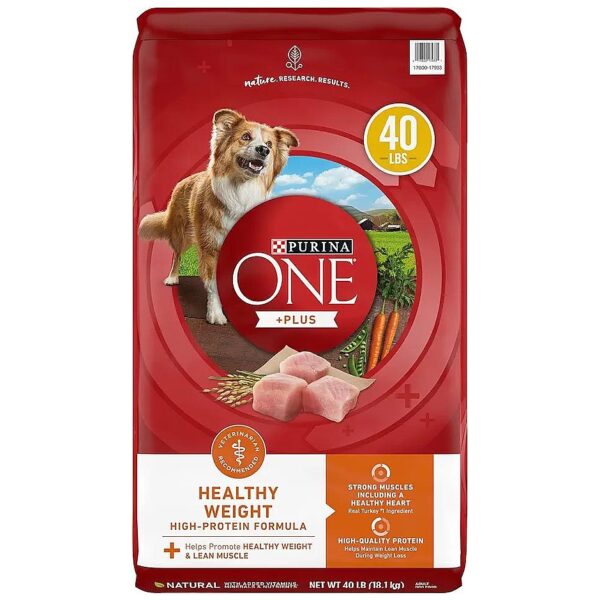 Healthy Skin and Coat with Purina ONE High-Protein Dog Food