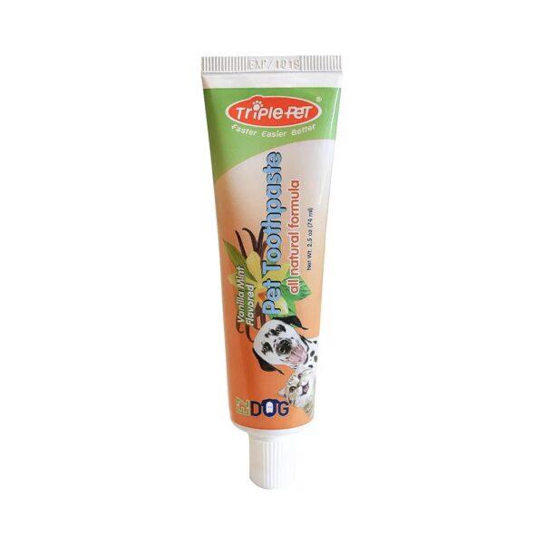 Healthy Teeth and Gums for Dogs with This Natural Toothpaste