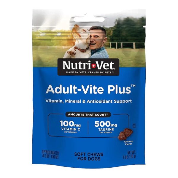 Healthy Vitamins and Minerals Soft Chews for Dogs' Everyday Health Needs