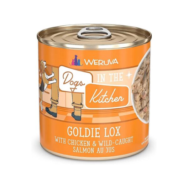 Healthy Wet Dog Food with Chicken, Salmon, and Gravy for Adult Dogs