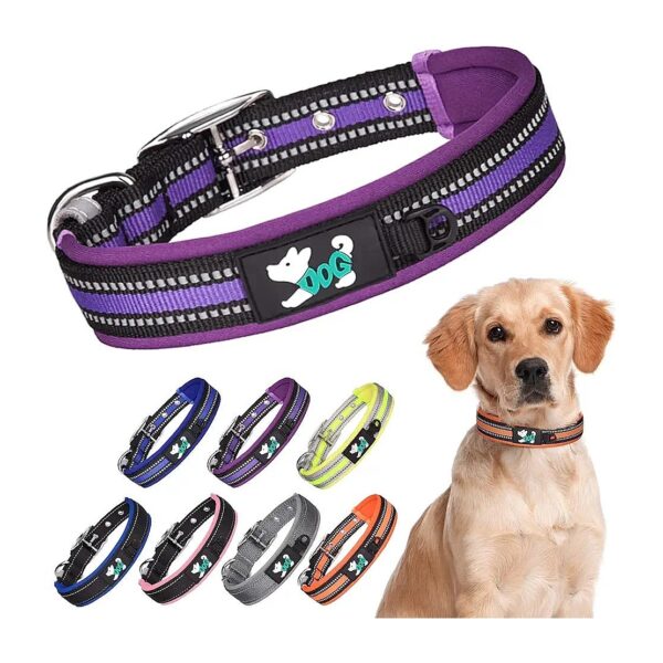 Heavy Duty Adjustable Purple Dog Collar with Reflective Stitching for Medium Breeds 8-19