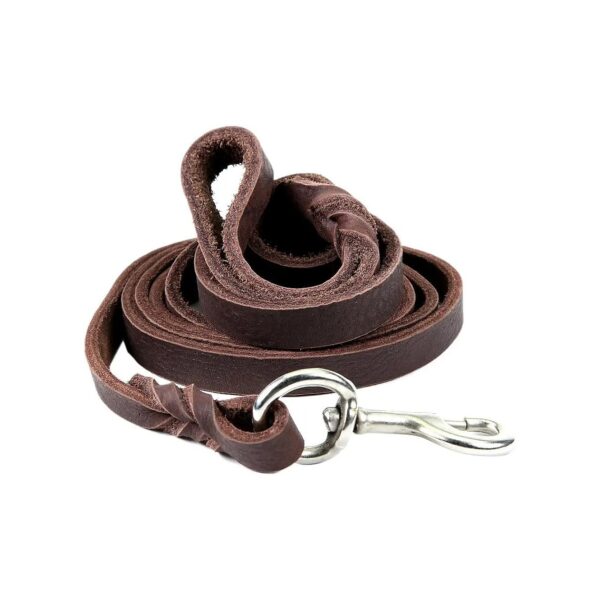 Heavy Duty Brown Leather Dog Leash for Large Dogs and Strong Hands