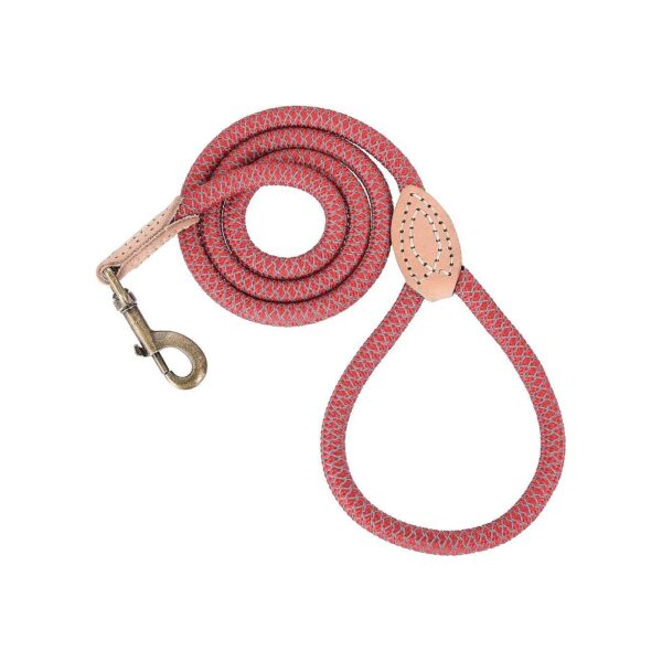 Heavy Duty Dog Leash Kit for All Breed Dogs with Leather Tip