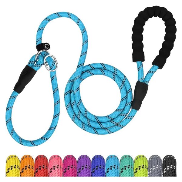 Heavy Duty Dog Leash with Padded Handle for Small Dogs