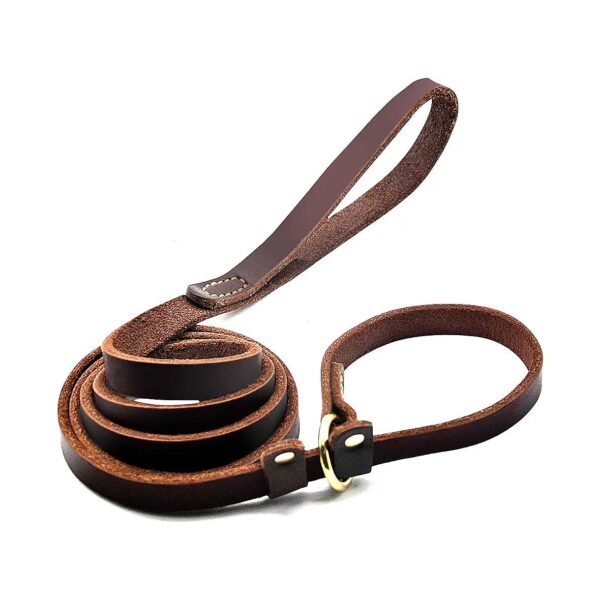 Heavy Duty Flat Leather Dog Training Leash with Collar Loop for Medium and Large Dogs