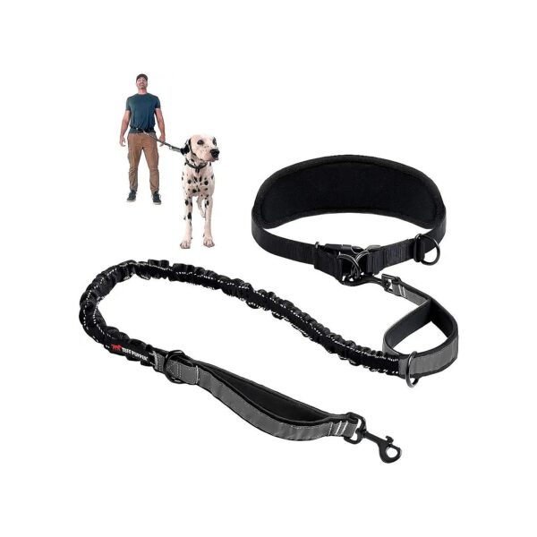 Heavy Duty Hands Free Dog Leash for Large Dogs Up to 125 Pounds