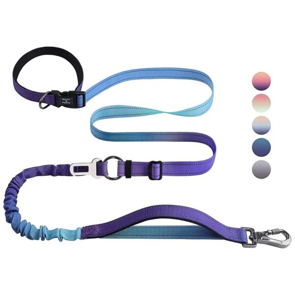 Heavy Duty Hands Free Dog Leash with Quick Release and Locking Buckle