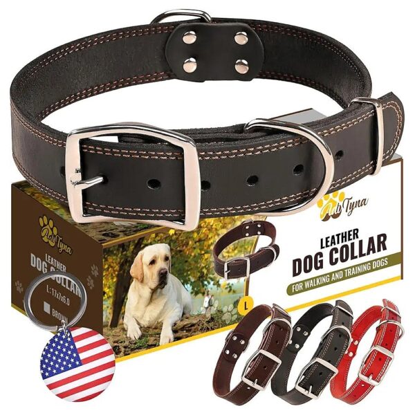 Heavy Duty Leather Dog Collar for Walking and Training Large Dog Breeds