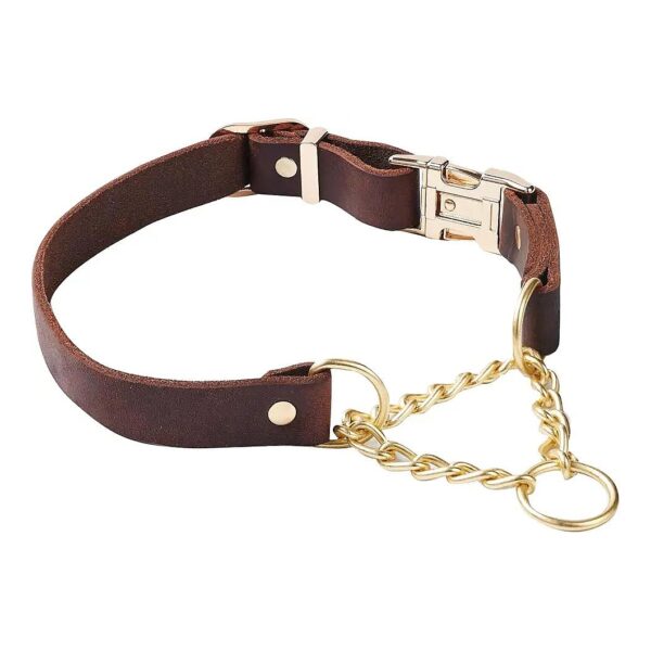 Heavy Duty Leather Martingale Dog Collar with Rustproof Brass Chain for Large Breeds