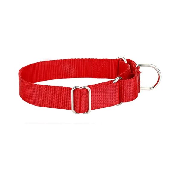 Heavy Duty Martingale Dog Collar for German Shepherd