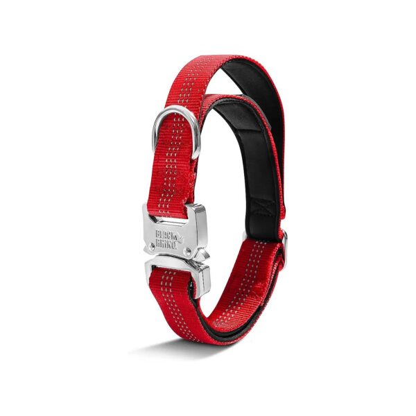 Heavy Duty Metal Buckle Neoprene Padded Dog Collar for Medium Large XL Dogs