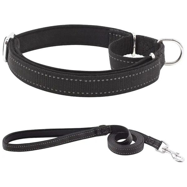 Heavy Duty Nylon Adjustable Dog Collar with Built-in Leash Handle