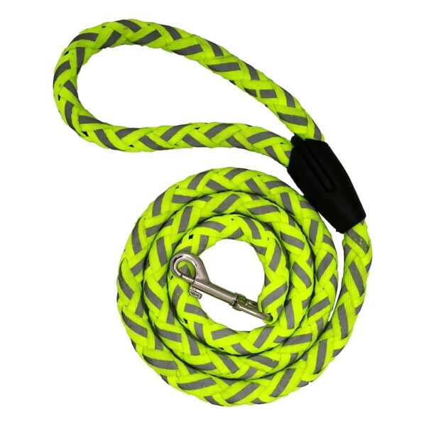 Heavy Duty Nylon Dog Leash for Large Small Medium Size Dogs Outdoor Use