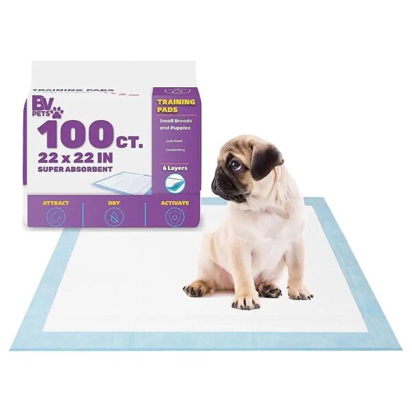 Heavy-Duty Absorbent Dog Training Pads for Puppies and Adults - 22" x 22" - 100 Count