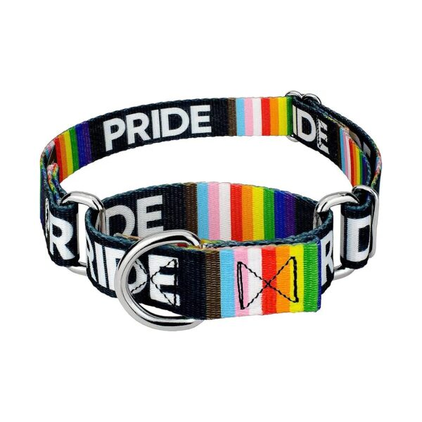 Heavy-Duty Rainbow Flag Color Dog Collar for LGBTQIA+ Support 1-Inch Large Size