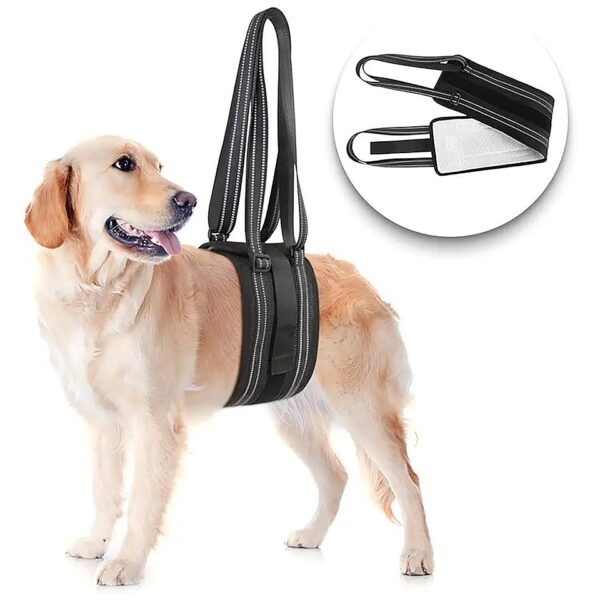 Help Your Dog Regain Mobility with our Adjustable Dog Sling for Weak Back Legs