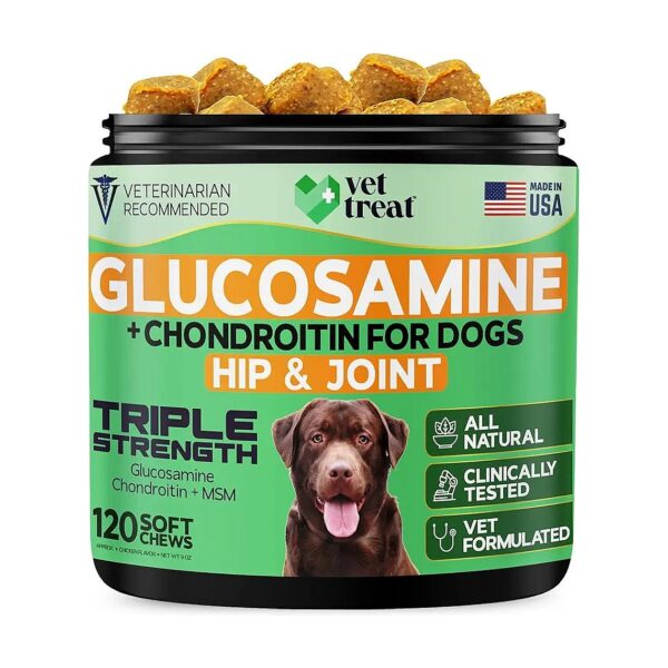 Hemp and Joint Supplement for Dogs with Arthritis Relief