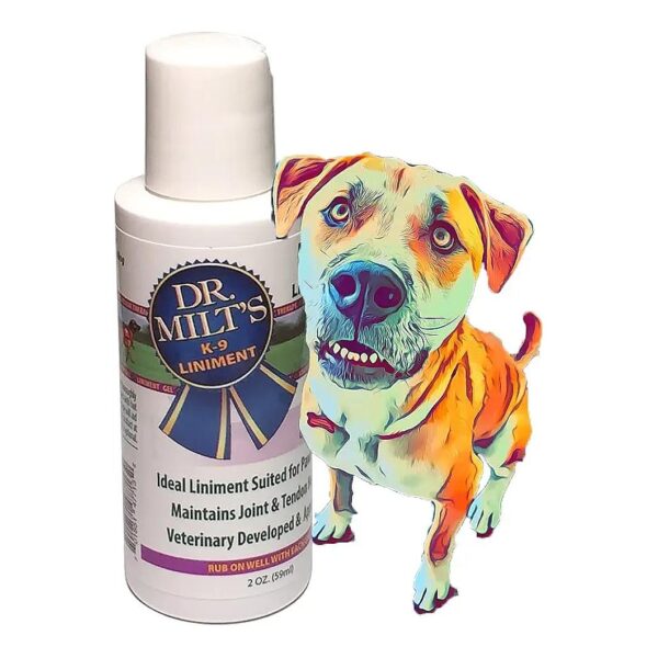 Herbal Magnesium Sulfate and Arnica Ointment Reduces Inflammation and Tenderness in Pets