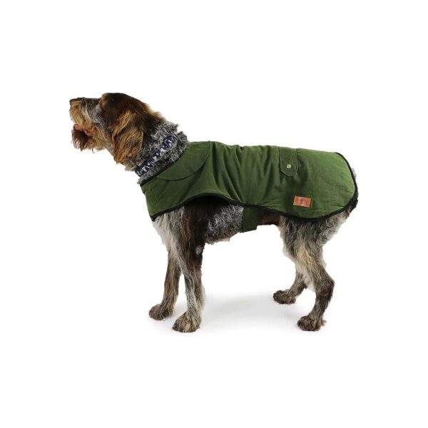 Heritage Coat for Small to Medium Dogs Green Wax 5in