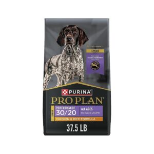 High Protein, High Calorie Dry Dog Food for Muscle Maintenance and Metabolism