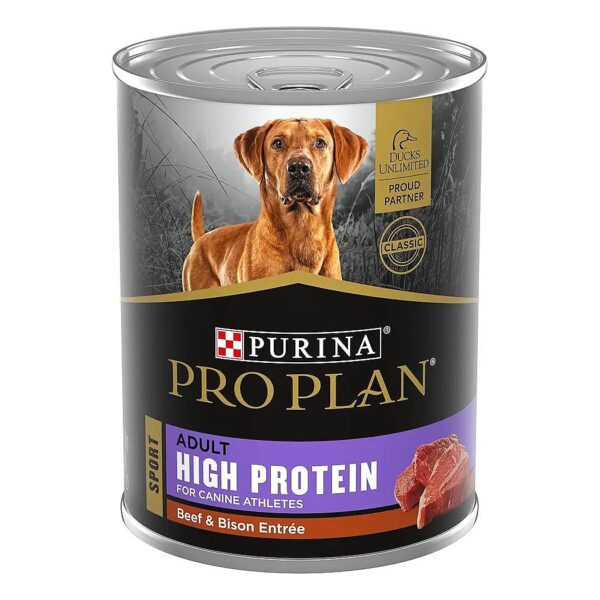 High Protein Pate Dog Food for Active Adult Dogs with Real Ingredients