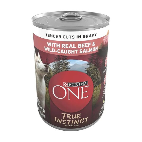 High Protein Wet Dog Food with Real Beef and Wild-Caught Salmon