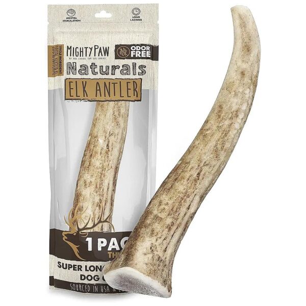 High Quality Medium Size Deer Antlers for Dogs and Puppies